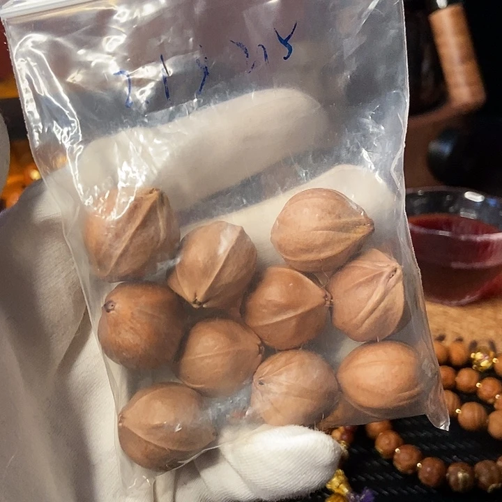 吊坠橄榄核Z**?哈哈哈