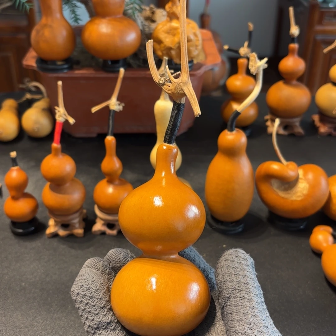 吖***唬葫芦88888888888888888