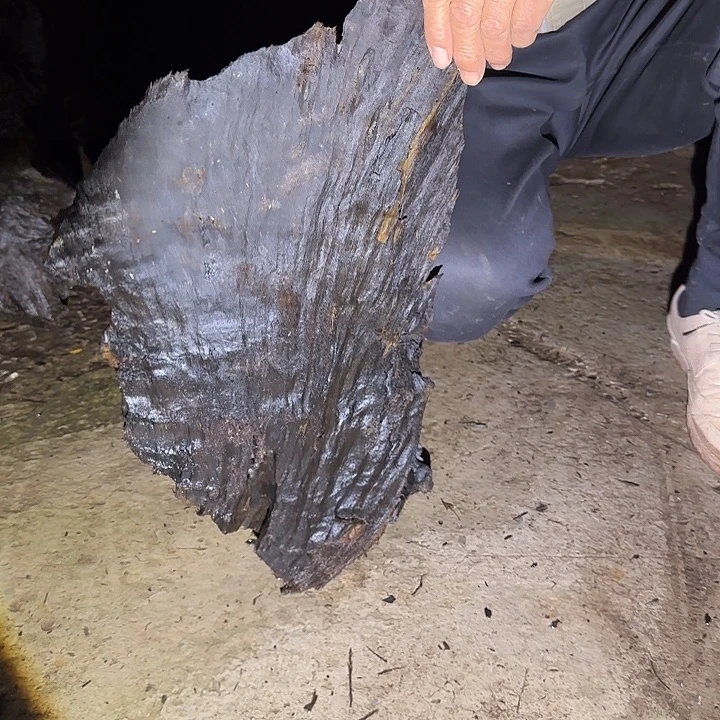 心***念金丝楠木原料摆件