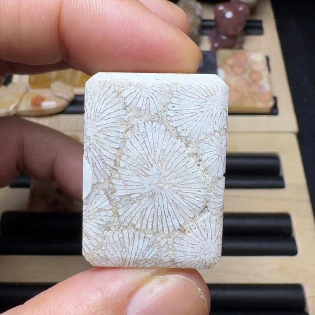 硅化玉未镶嵌纯天然色有机玉石保真色