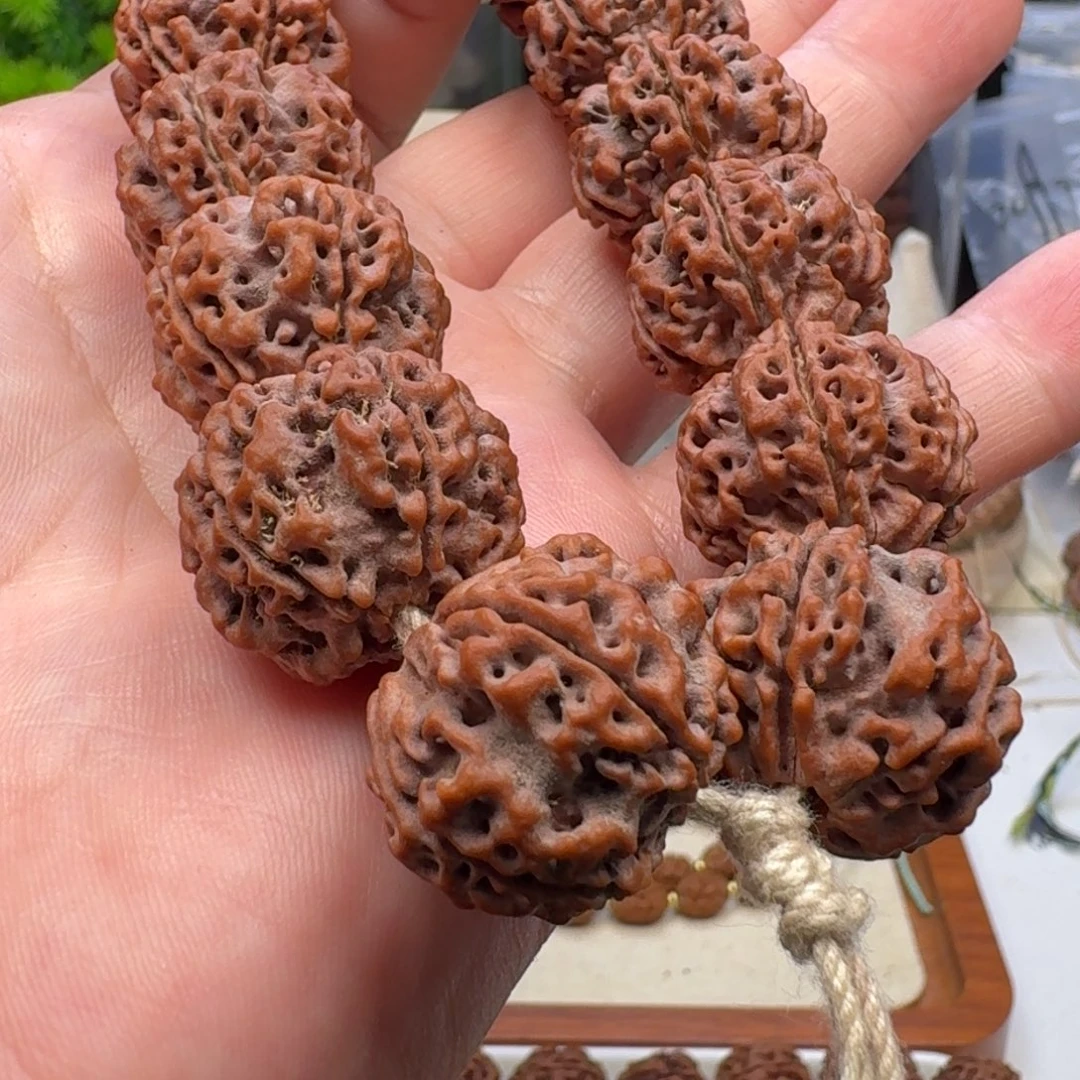 金刚菩提手串粗筋蜂窝双龙