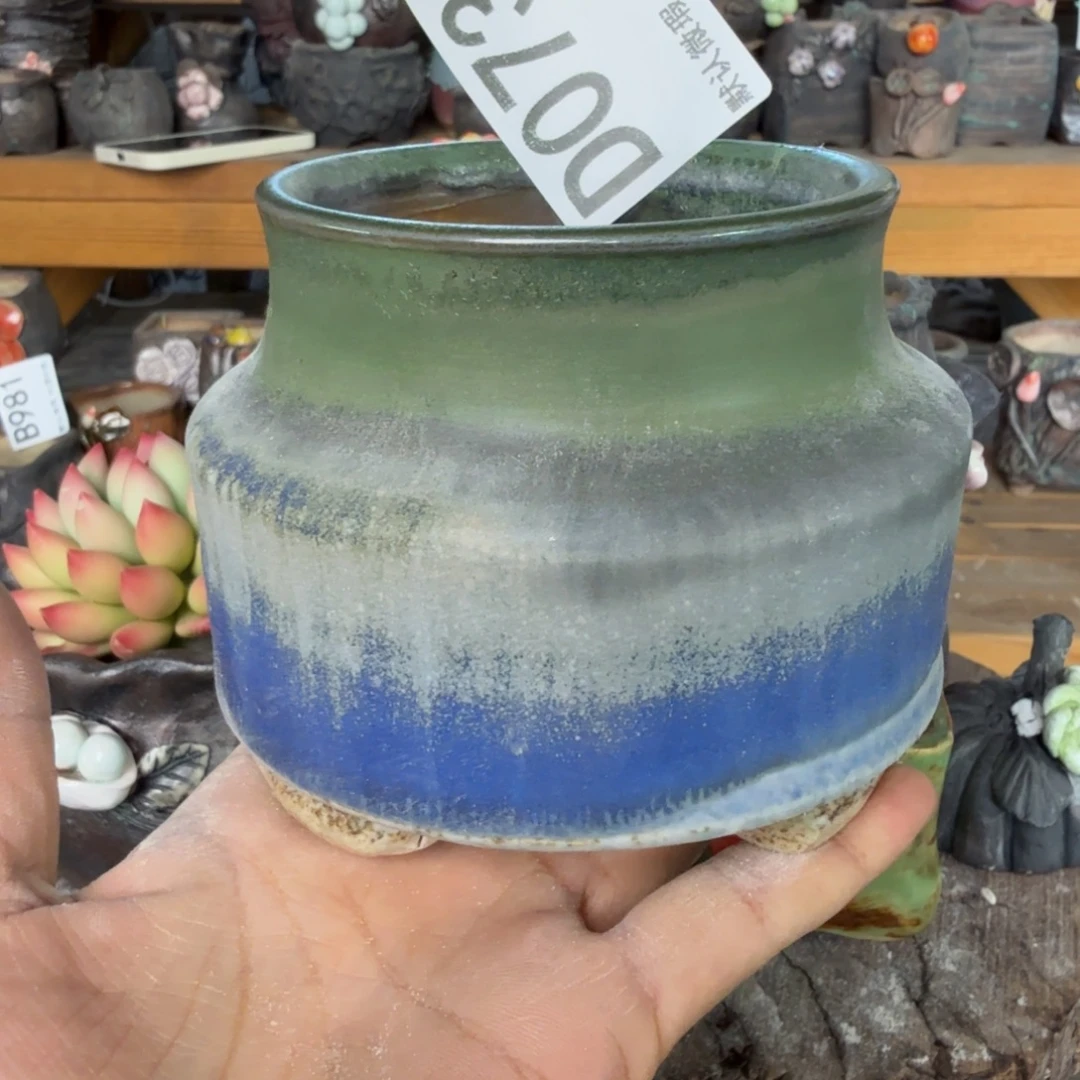 重庆小燕子欢迎大家073