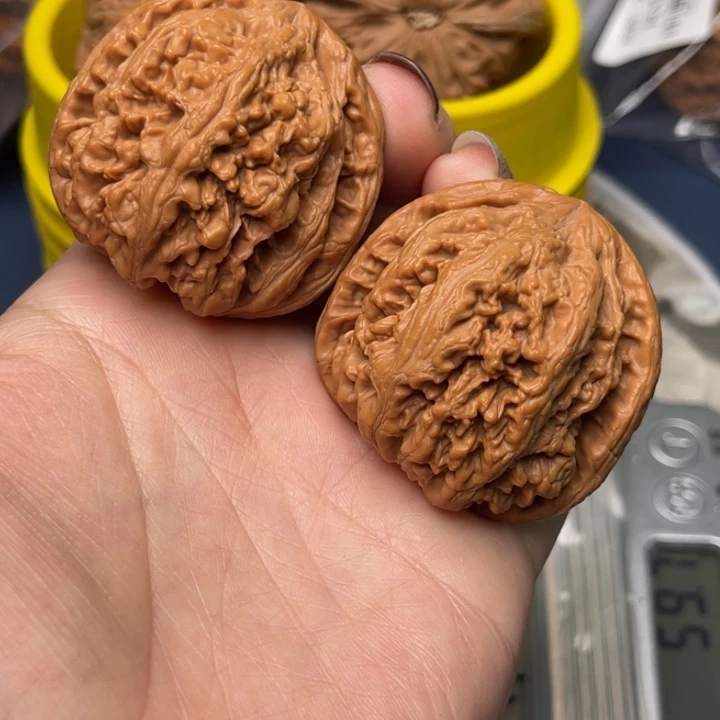 文玩核桃把件粗筋41