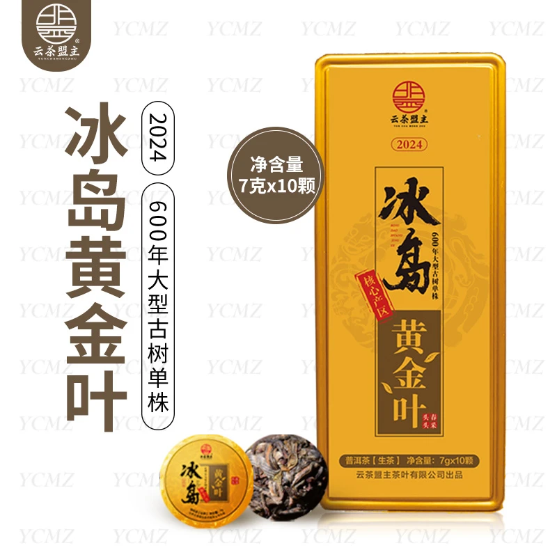 云茶盟主2024年【冰岛黄金叶】！大型古树核心产区 ！10颗*1盒！