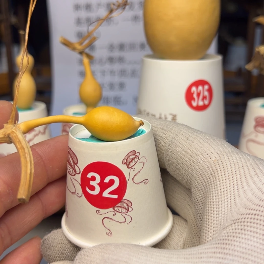 赛***亚闪电购自助下单编号32