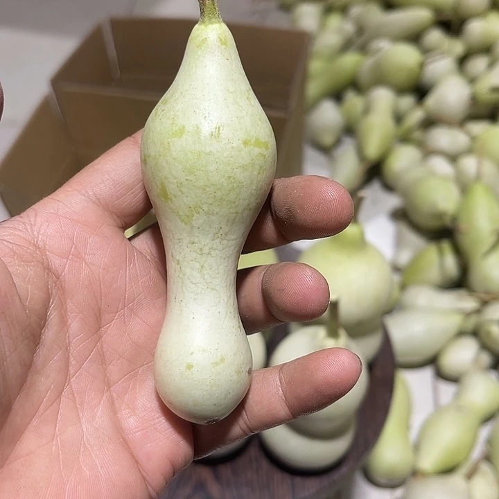 非洲紫檀（红花梨）木*