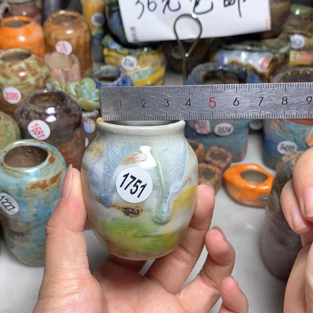 拍5送一个小礼物