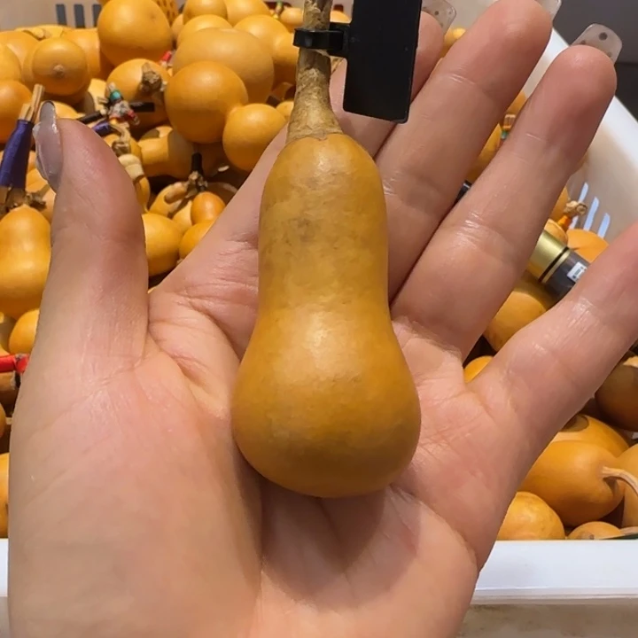 猛*哈哈哈哈哈哈哈哈哈哈哈