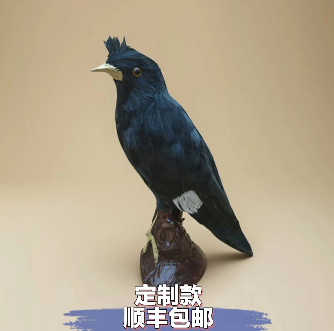 定制链接语言小天才林八直播间挑选原物模型摆设轻奢动物