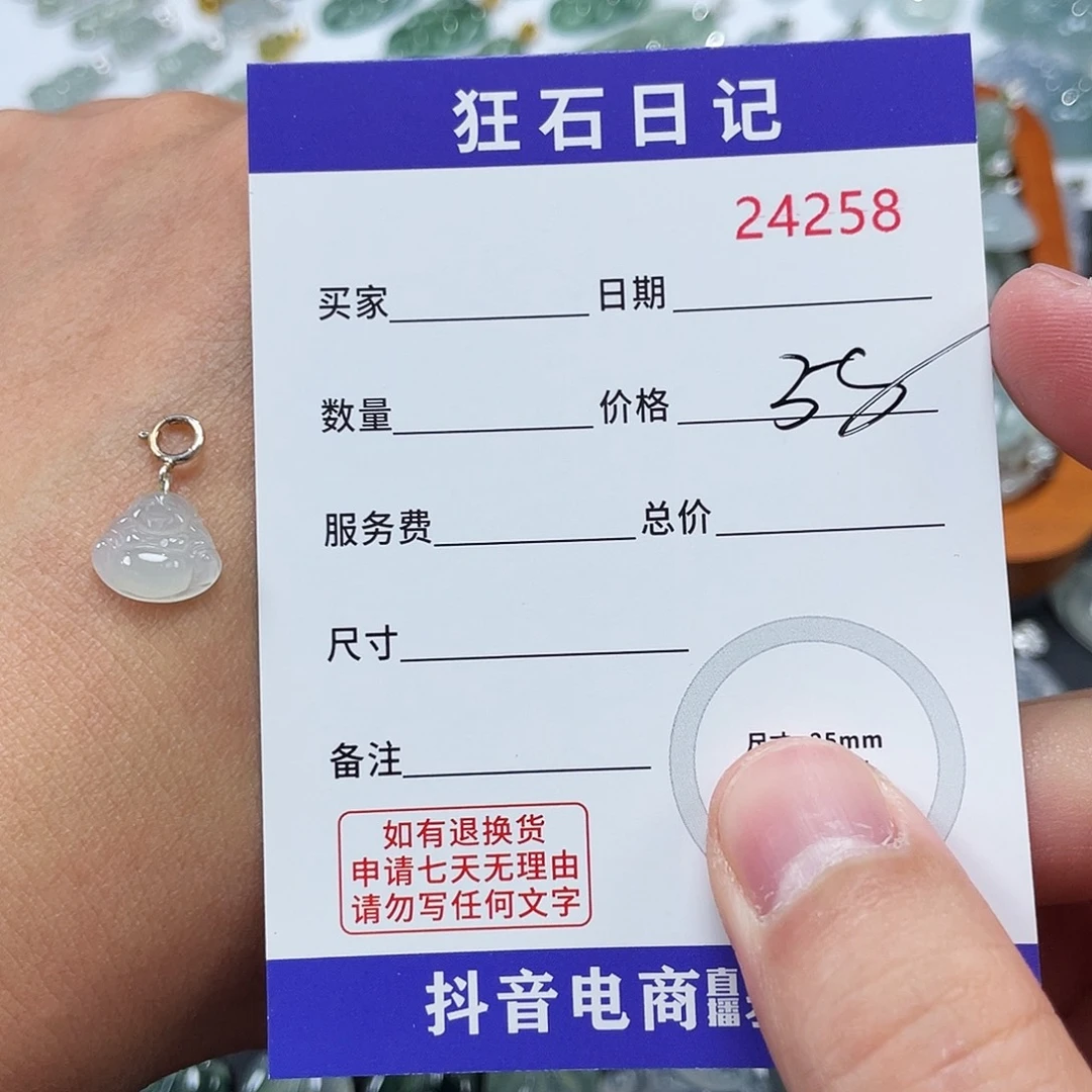 翡翠银S925镶嵌颈饰