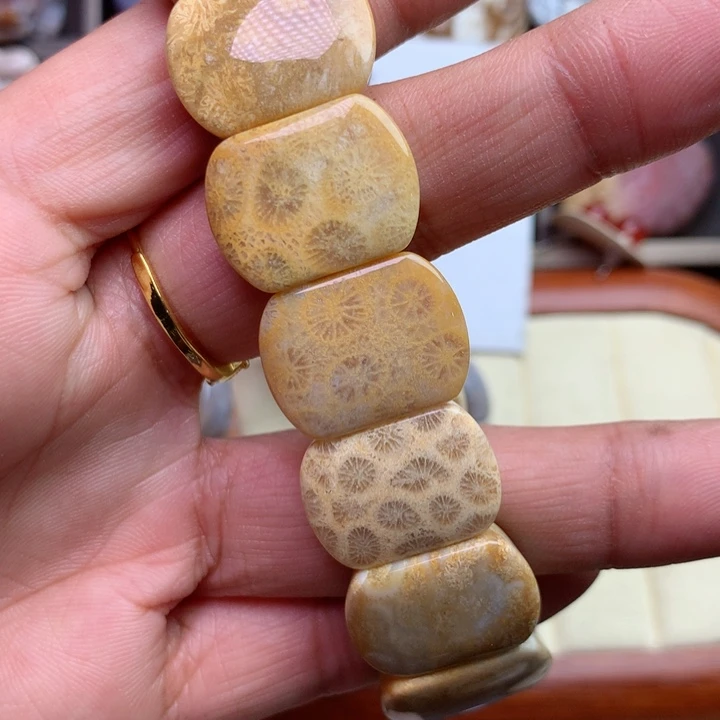 硅化珊瑚（珊瑚玉）颈饰未镶嵌