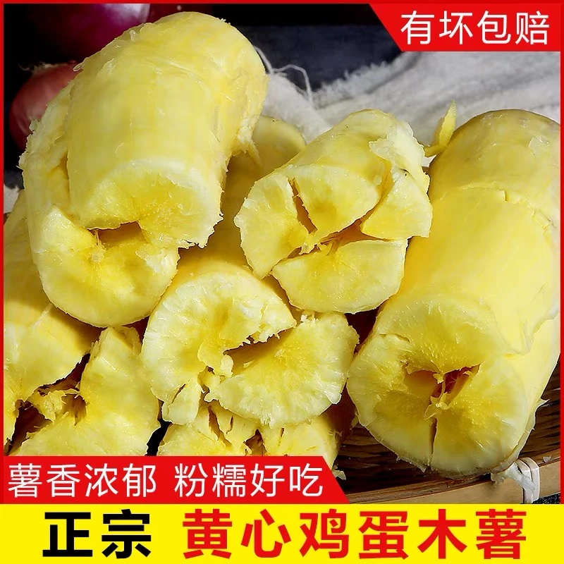 现挖带皮】今年新鲜正宗广西黄心黄肉面包木薯粉糯Q弹粗粮甜品食材