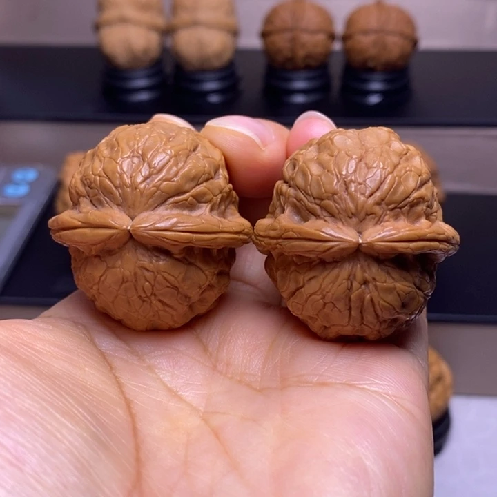 文玩核桃把件金龟玉甲24