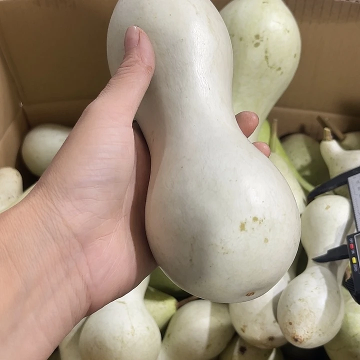 非洲紫檀（红花梨）煜*