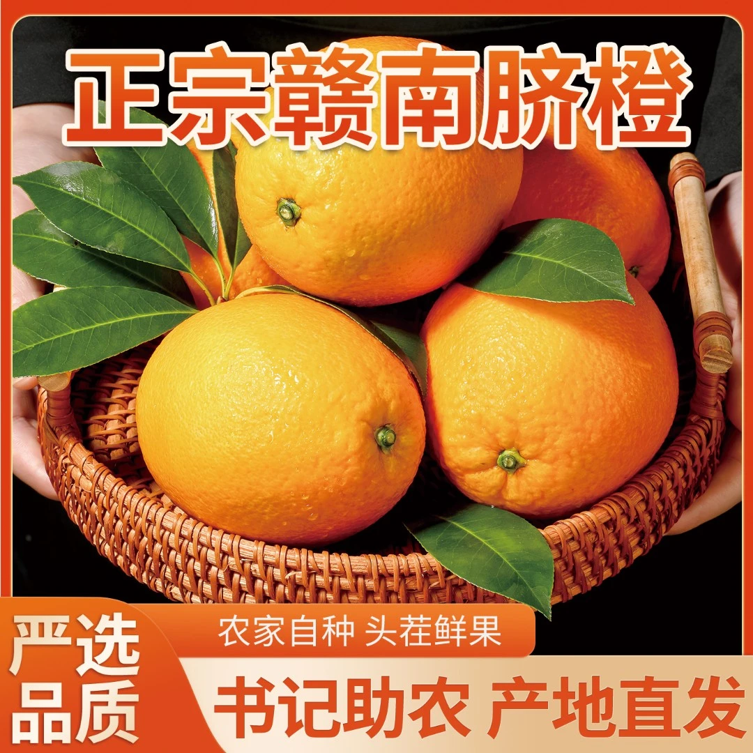 【陈书记助农】正宗江西赣南脐橙 果园新鲜现采现发  橙子 顺丰包邮