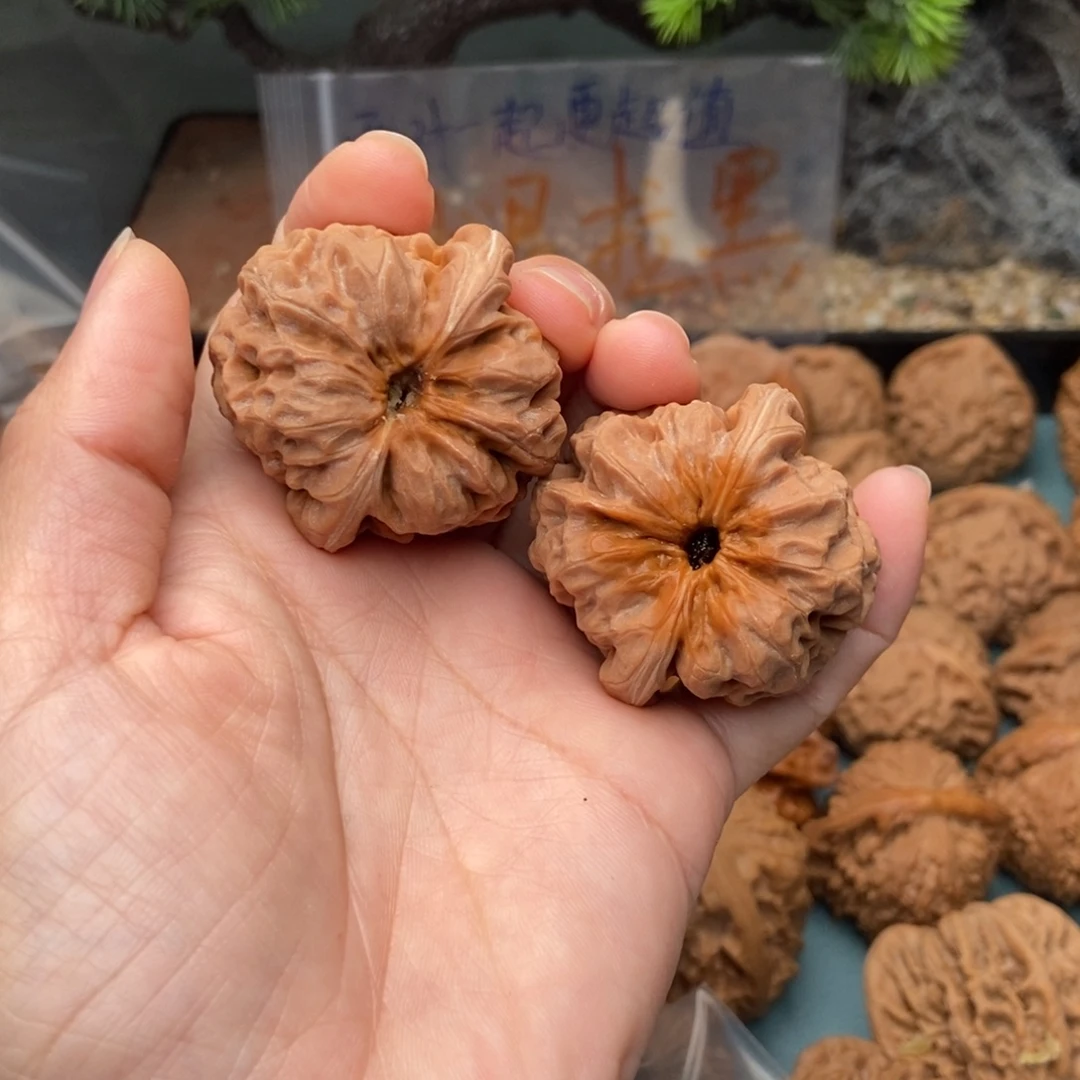 文玩核桃把件达摩42