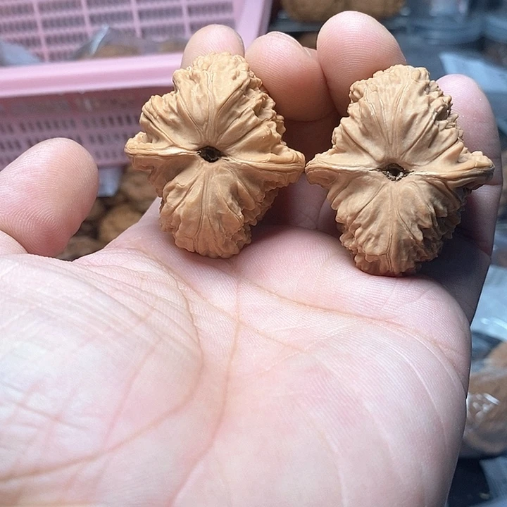 用***9文玩核桃宽城狮子43-08