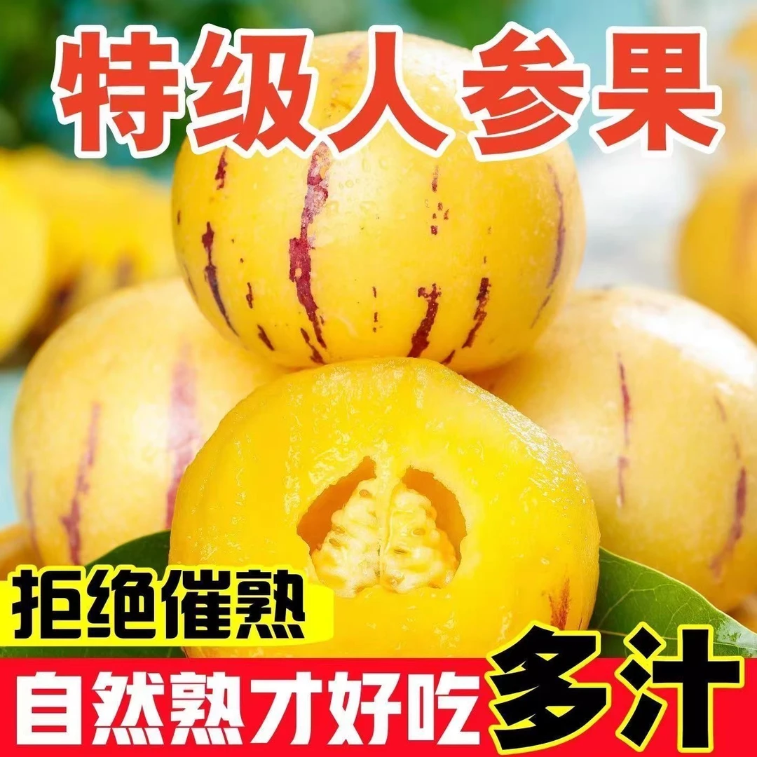 云南石林黄心果树上熟圆果黄肉当季新鲜多汁水果