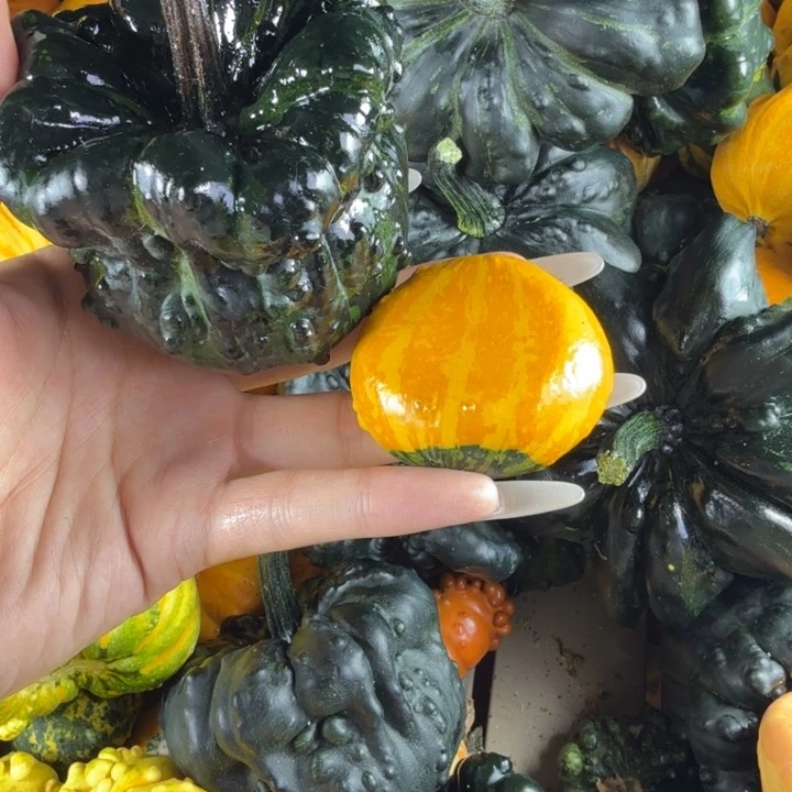 橘***子饿哦饿哦饿哦饿哦饿哦