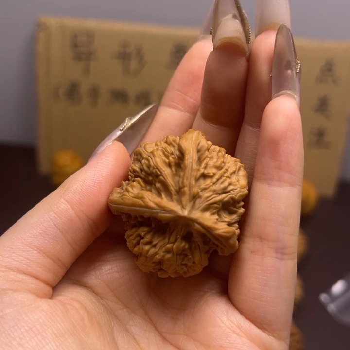 齐***齐菩提籽类三棱单只异型