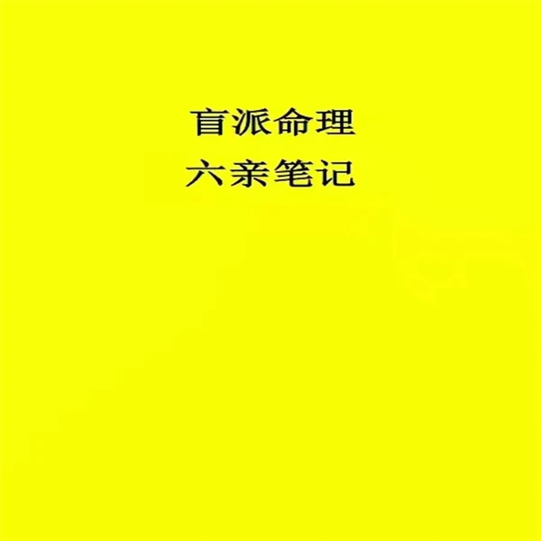 秘传盲派命理六亲笔记154页黑白