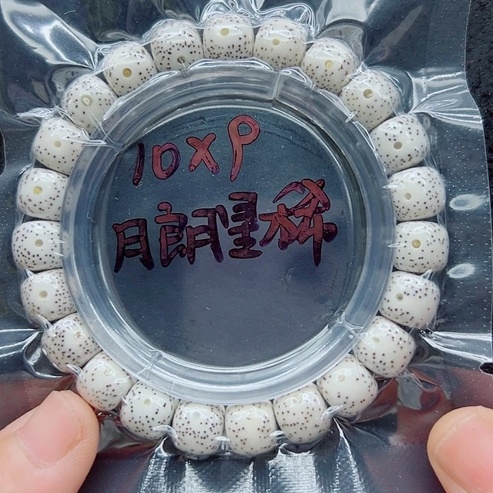 星月菩提吊坠10尺寸