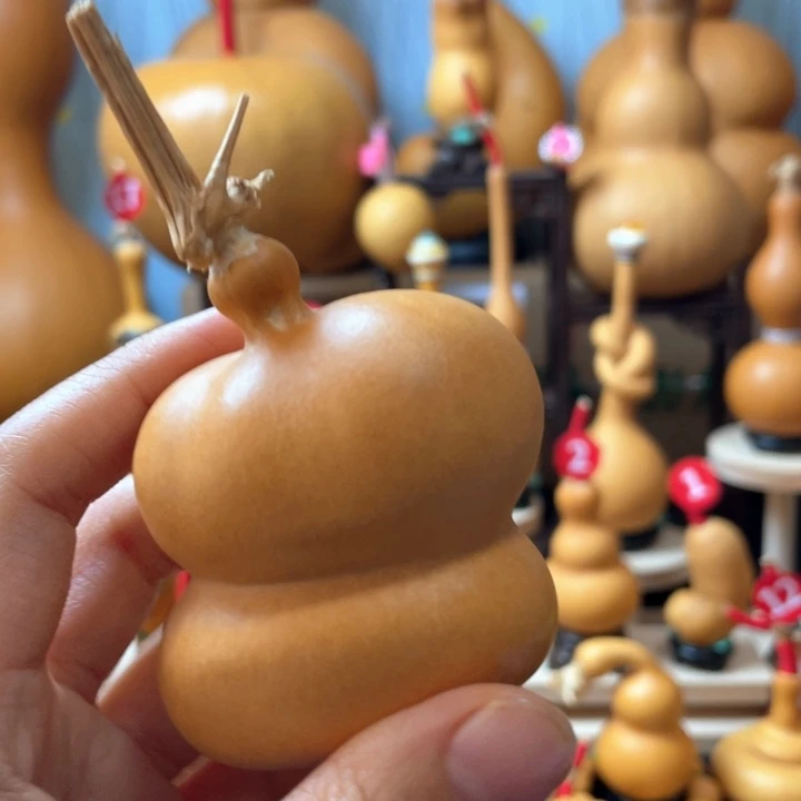 A***趣葫芦头和脸上没有区别