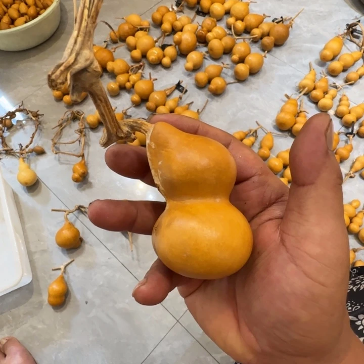 和**?哈哈哈哈哈哈哈哈哈哈哈哈