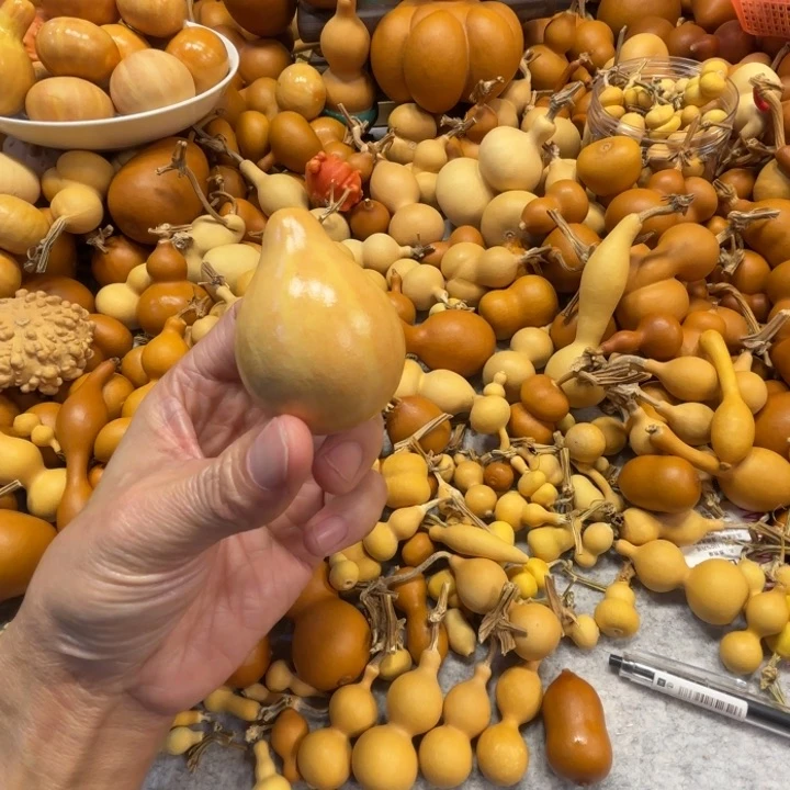 〰***?恒大宝的一把虞美人葫芦