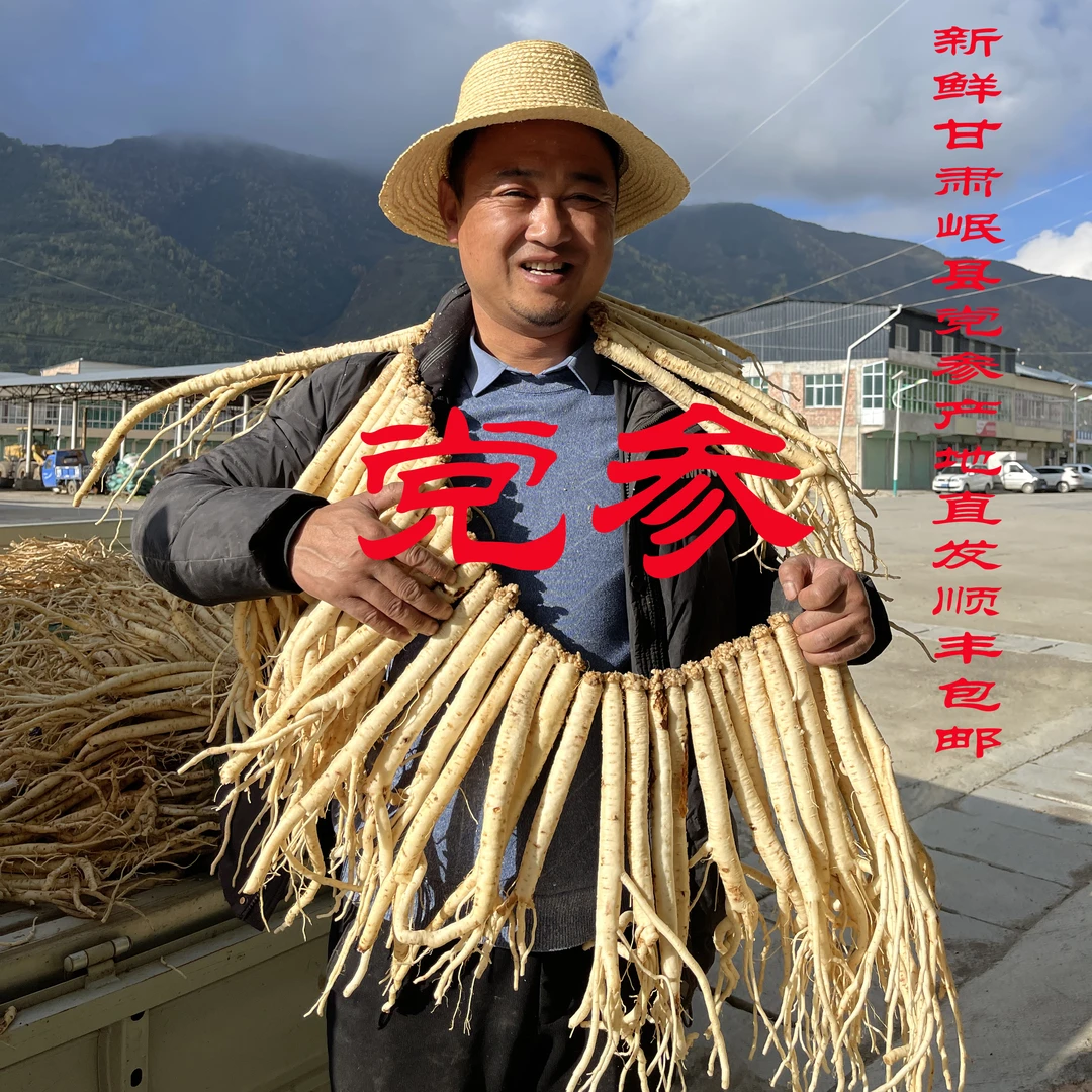 新鲜党参农户山地种植防野生党参甘肃岷县顺丰包邮