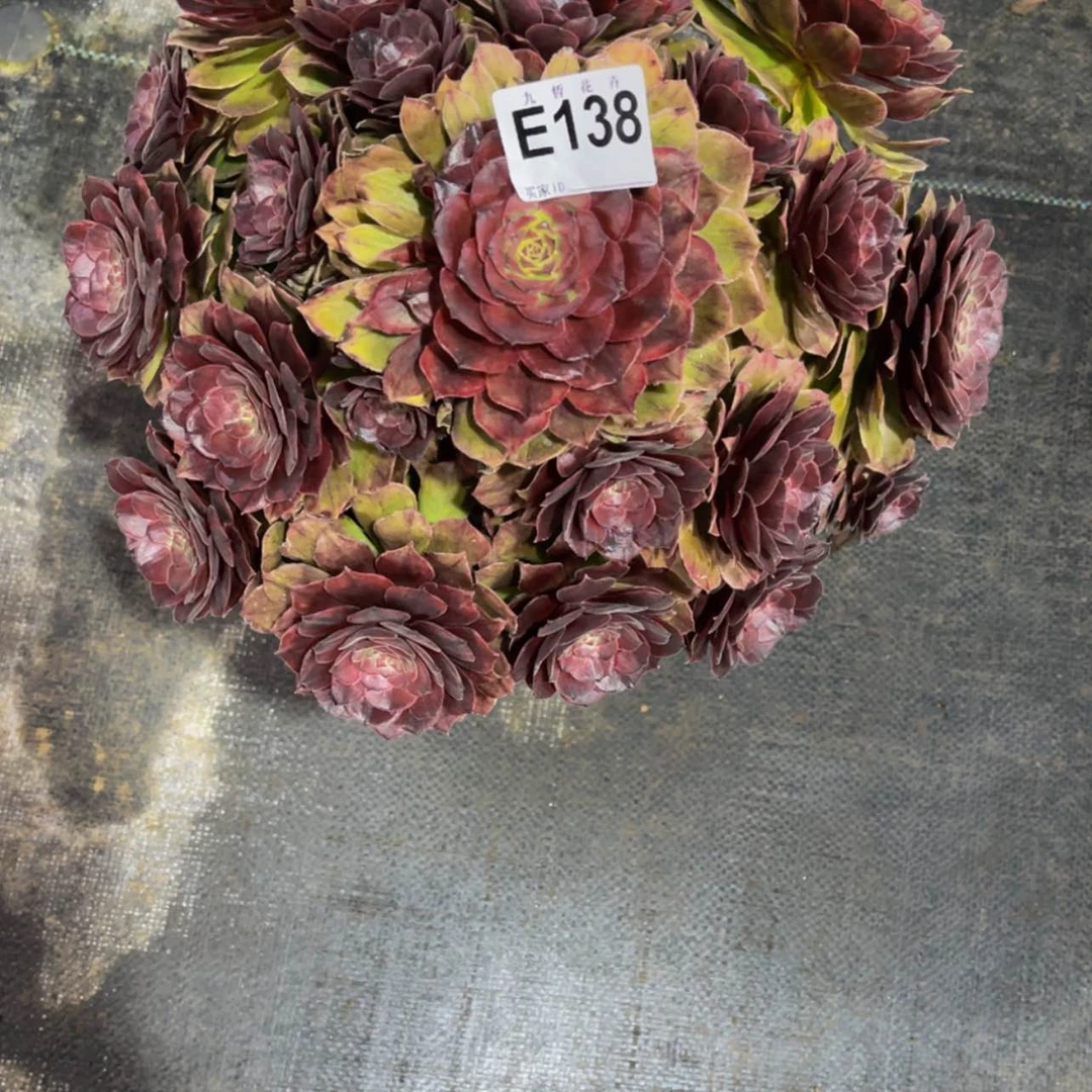 【闪购商品】13800