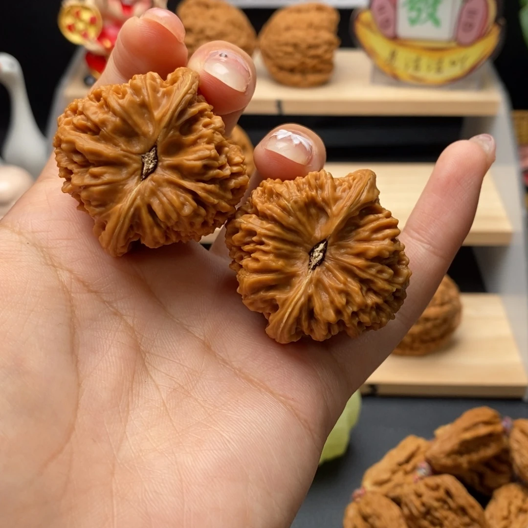 无***饭1号三角炮凹底，涿鹿老树一代全品