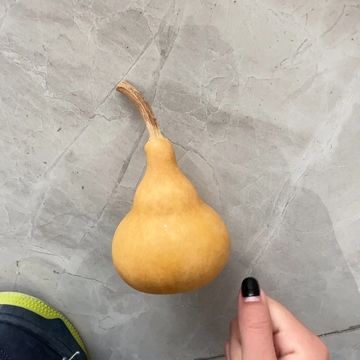 白皮葫芦1个墩子厚皮
