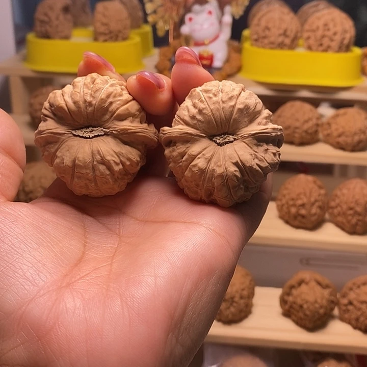 44尺寸的南瓜墩核桃