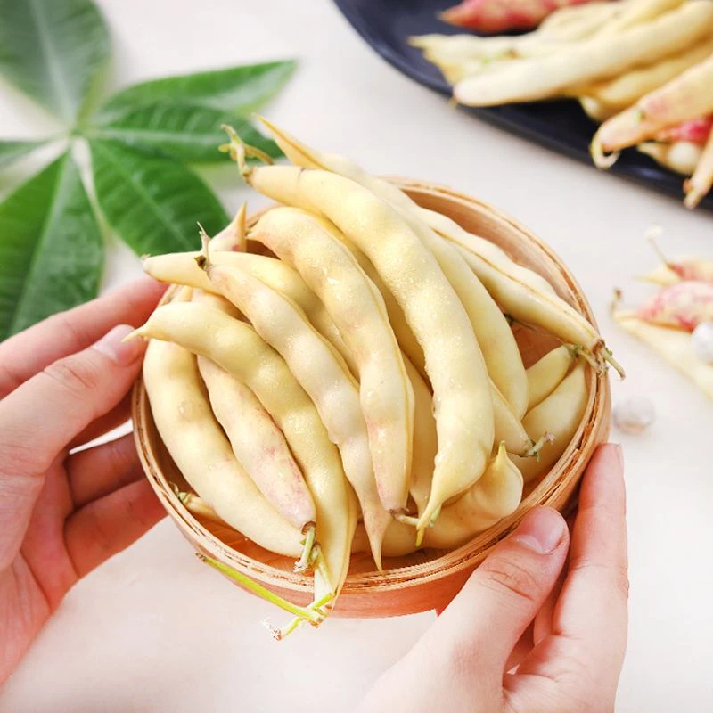 东北新鲜黄金勾豆角勾勾黄新鲜采摘顺丰包邮现采现摘美味爽口