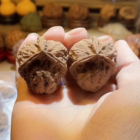 把件文玩核桃幽冥鬼姬带彩37+