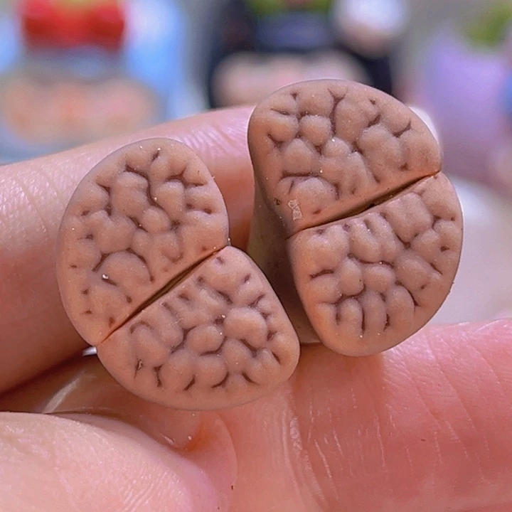 022生石花连盆带土包邮