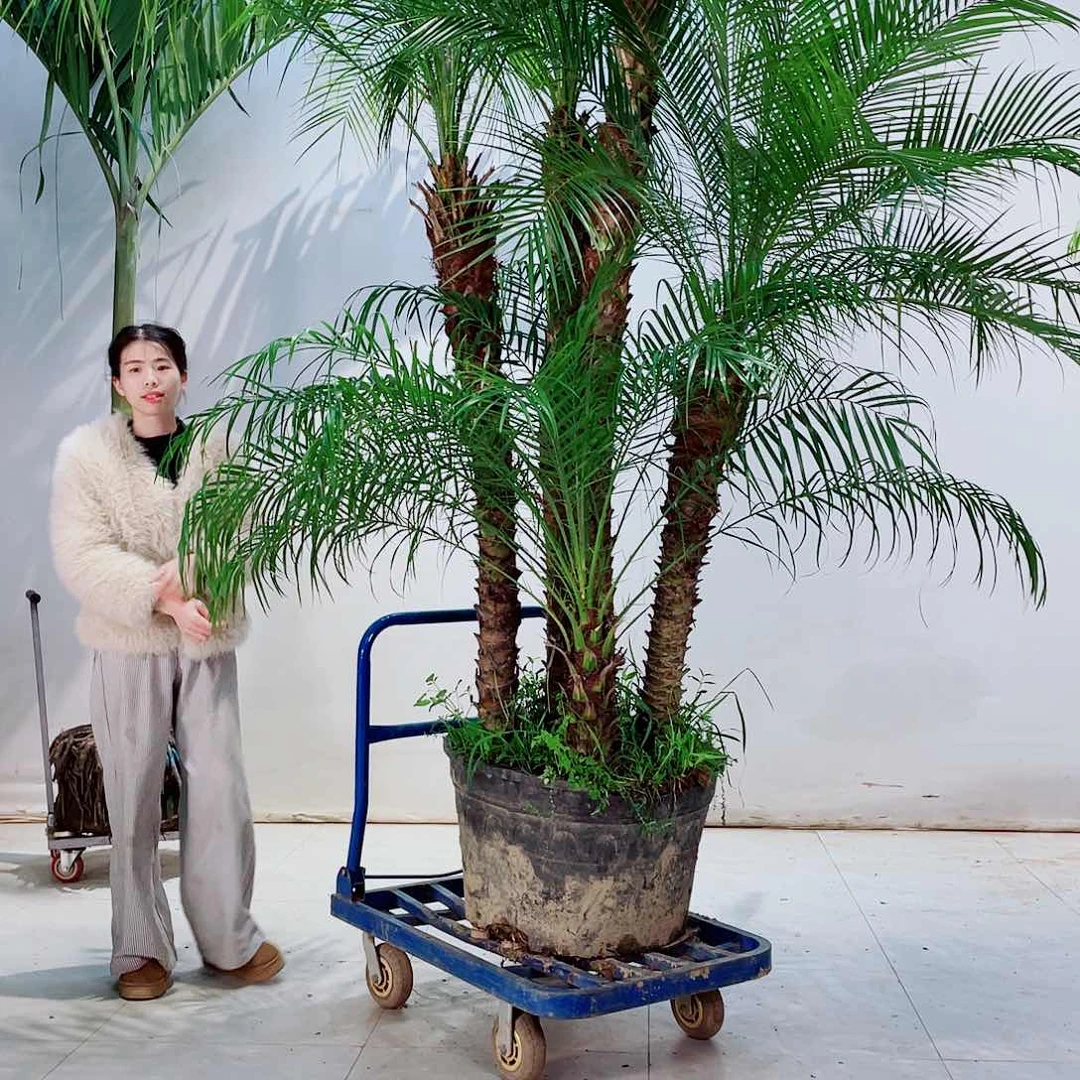 精***D56787567765446