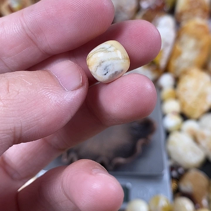 裸石琥珀未镶嵌我
