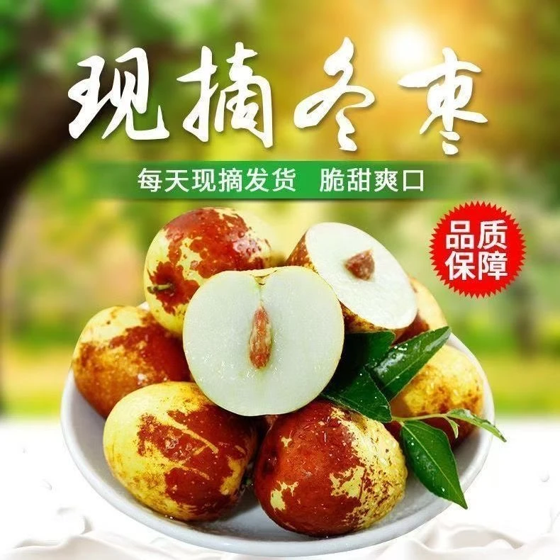 正宗沾化冬枣脆甜多汁新鲜现摘冬枣