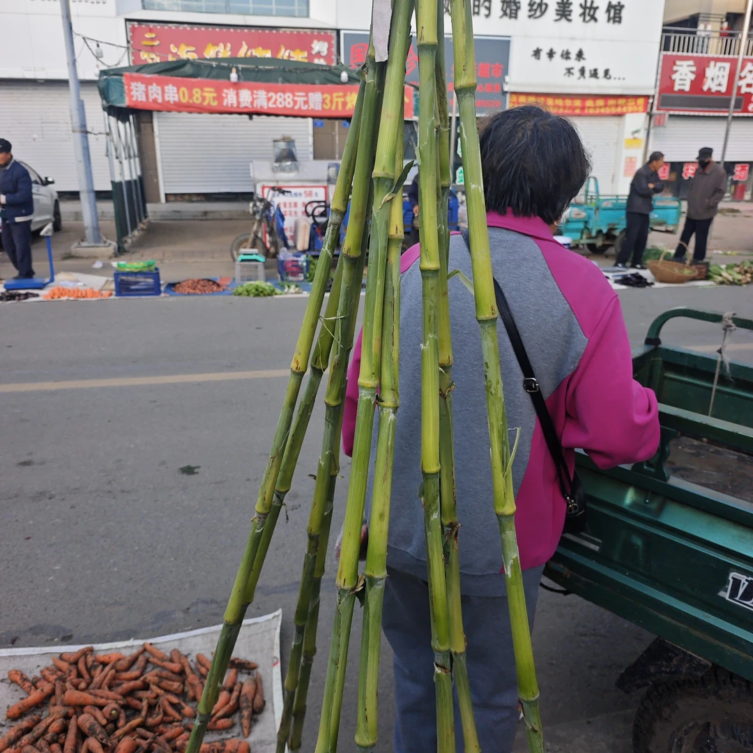 东北黑龙江甜杆儿甘甜可口。