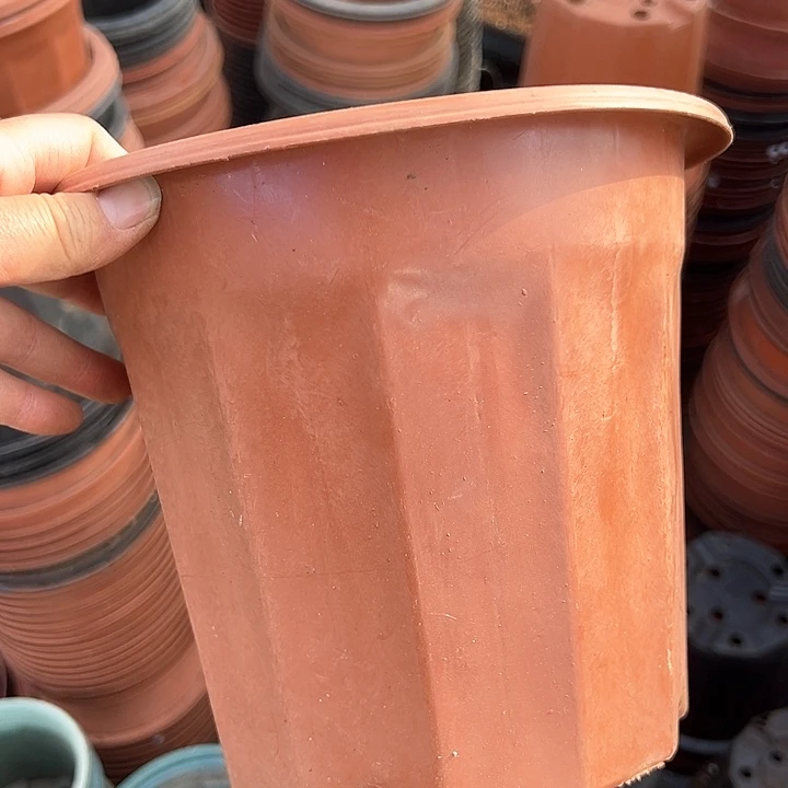 塑料口径20高度17.5红砖一组12个