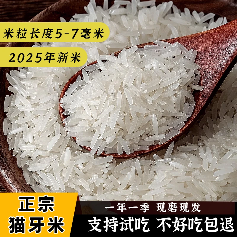 【20斤】2025年新米猫牙米长粒香米农家优质正宗一级米斤一袋批发