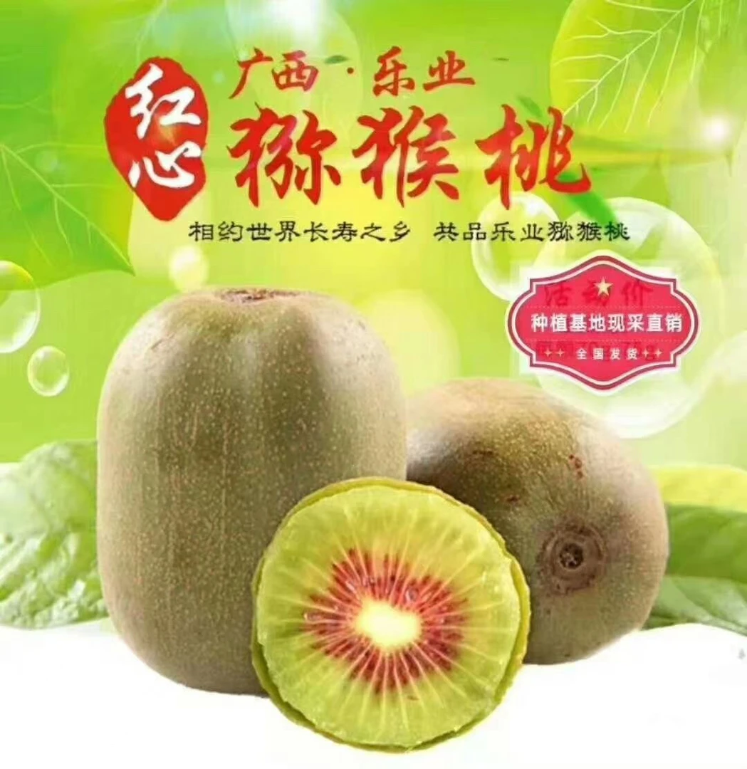 广西乐业高山红心猕猴桃