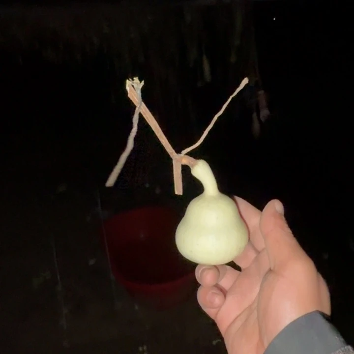 青皮葫芦不包成    送打皮方法手册