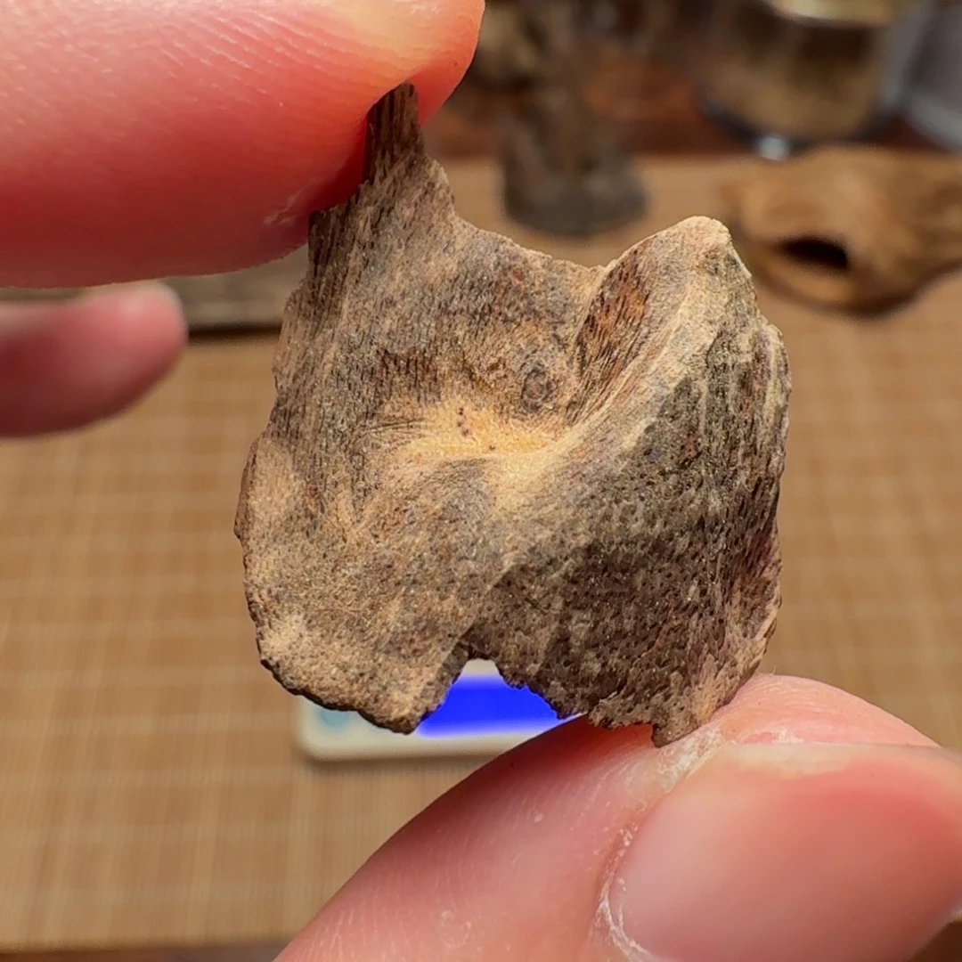 沉香香港壳子料子