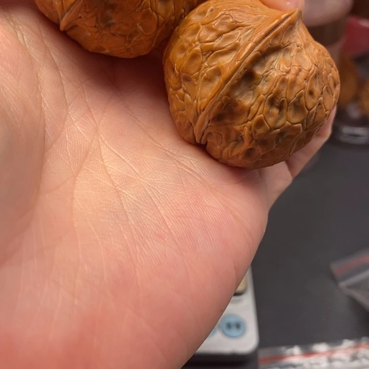 文玩核桃把件我在外面吃饭呢