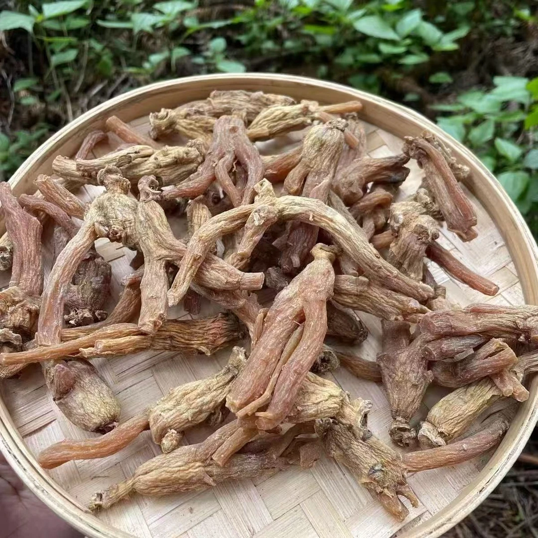 云南土特产......龙-爪-参