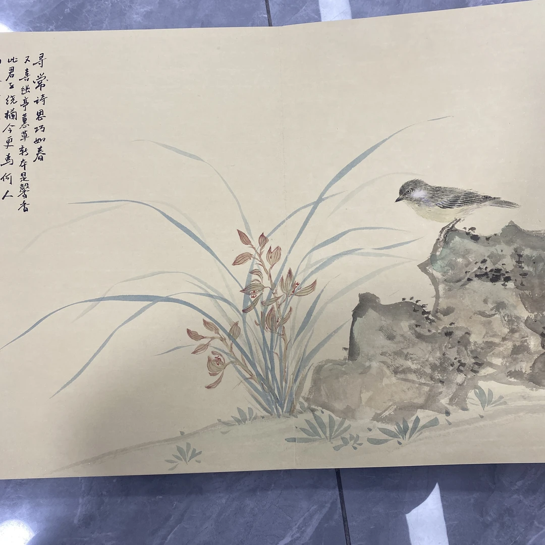 李老师没骨花鸟册页十二页