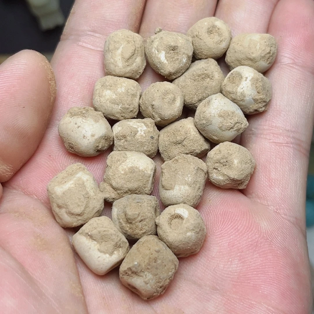十***子颈饰未镶嵌透闪石质玉